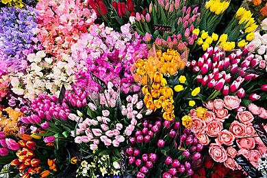 《水族馆长》Steam更新上线 好评水族馆经营模拟